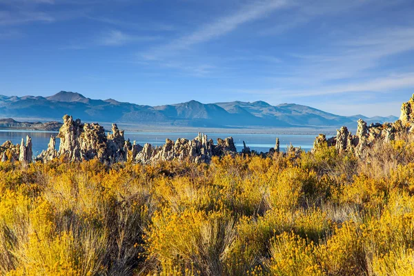 Mono Lake Partjai Mono Egy Sós Kaliforniában Világ Természetes Csodája — Stock Fotó