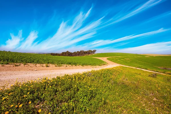 Brede Onverharde Weg Steekt Vallei Blauwe Hoge Hemel Witte Wolken — Stockfoto