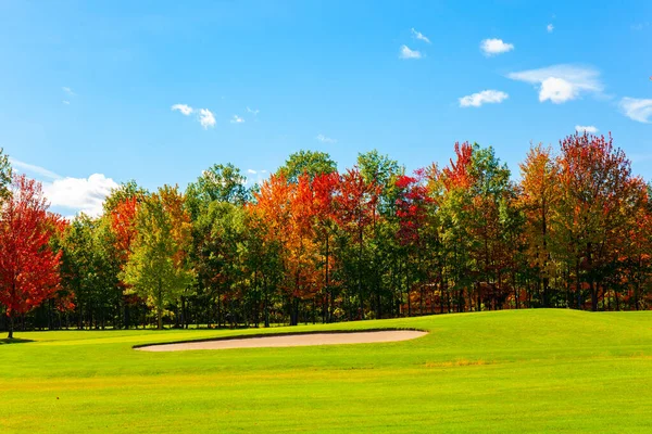 Lush Autumn Red Gold Tree Crowns Green Yellow Grass Road — Stock Photo, Image