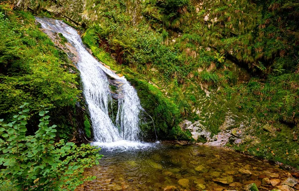 Höchster Wasserfall Allerheiligen Berühmter Wald Mitten Europa Schwarzwald Baar Schwarzwälder — Stockfoto