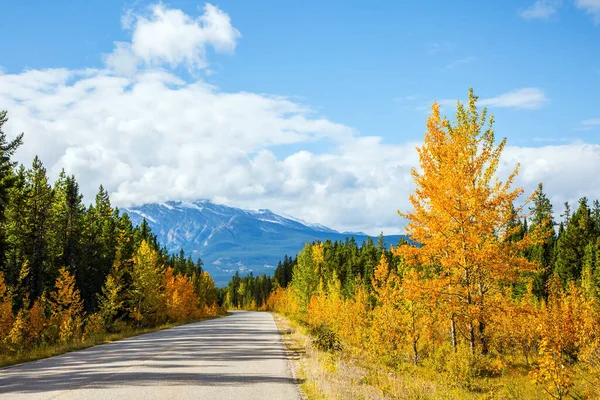 Słynna Autostrada Górach Skalistych Kanady Wspaniałe Indiańskie Lato Droga Asfaltowa — Zdjęcie stockowe