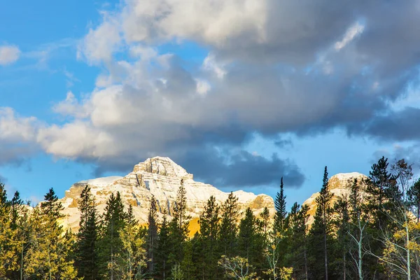 Margens Panorâmicas Abraham Lake Great Canadian Rockies Folhagem Amarela Vidoeiros — Fotografia de Stock