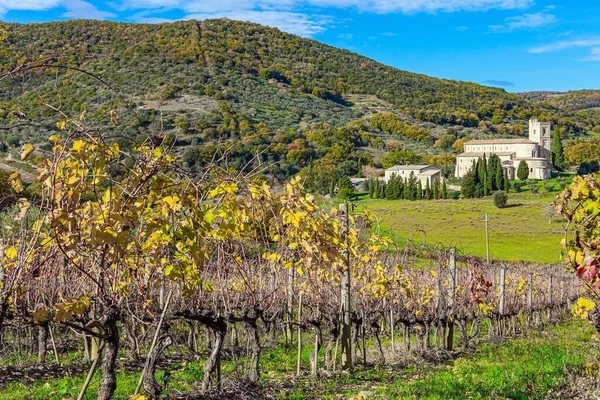 Magnífica Itália Abadia Sant Antimo Abadia Encantadora Entre Vinhas Campos — Fotografia de Stock