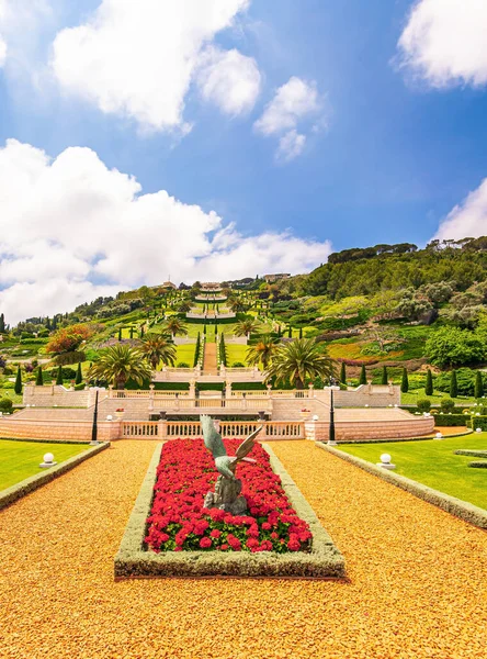 Lyxig Rabatt Med Klarröda Blommor Karmelbergets Sluttning Haifa Israel Bahai — Stockfoto