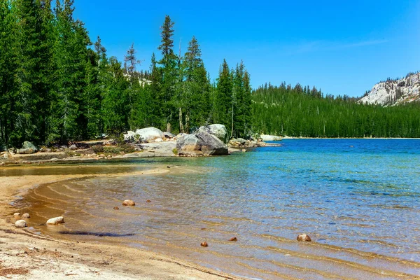 Tioga Road Park Yosemite Słońce Świeci Wodzie Jeziora Tenaya Gęsty — Zdjęcie stockowe