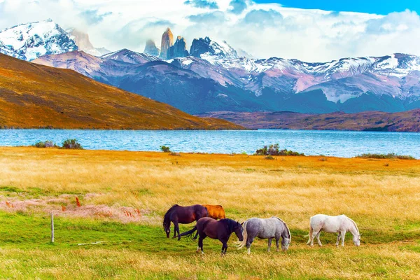 Διάσημο Πάρκο Torres Del Paine Στη Νότια Χιλή Λιμνοθάλασσα Azul — Φωτογραφία Αρχείου