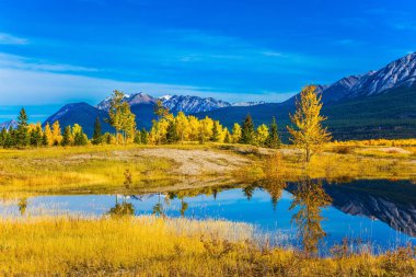 Nefis Abraham Reservoir Gölü turkuaz suyla. Kanada dağlarında sıcak Eylül ayı. Gölü kıyısında, çok renkli ormanlarda. Ekolojik ve aktif turizm kavramı