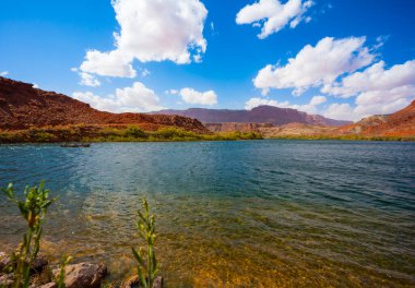 Muhteşem Colorado Nehri. Geniş nehir ve kırmızı kumtaşı kıyıları. Lee 'nin Feribotu, Colorado Nehri' ni geçen tarihi bir feribot. ABD. Aktif, aşırı ve fotoğraf turizmi kavramı