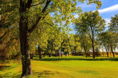 Parlak sonbahar renkleri. Muhteşem, parlak sonbahar manzarası. Yeşil manikürlü çimenler, yeşil, sarı, turuncu ve sarı yapraklı ağaçlar. Kanada, Quebec eyaleti. 