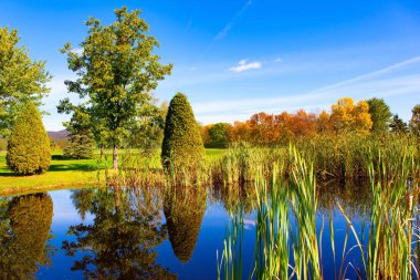Resimli sığ göl. Ağaçlar ve çalılar göle yansıyor. Kanada, Quebec vilayeti. Montreal 'in mahallesi. Sonbaharın parlak renkleri. 