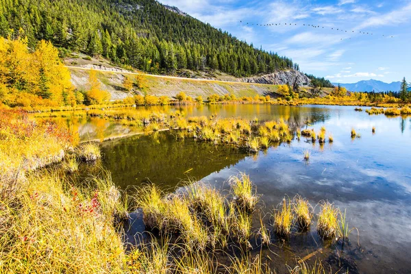 Grandioso Paisaje Las Montañas Rocosas Canadá Lago Vermillon Entre Abetos —  Fotos de Stock