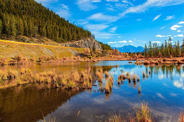 Evergreen Bossen Bergen Van Canada Rood Geel Oranje Blad Aan — Stockfoto