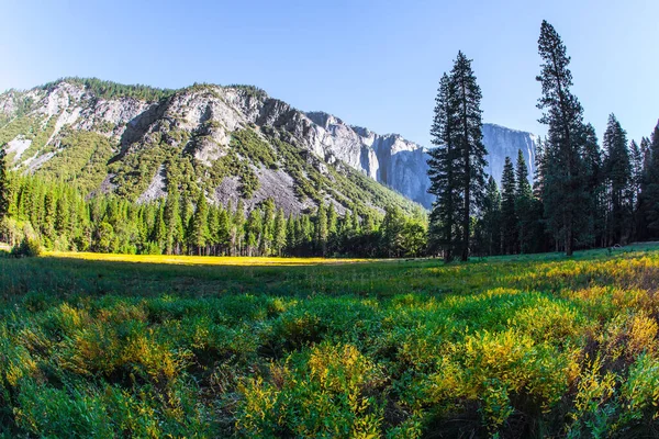 Valle Yosemite Famoso Monolito Rupestre Capitán Cordillera Occidental Parque Yosemite —  Fotos de Stock