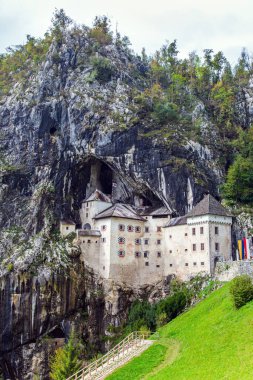 Parktaki eski ortaçağ kalesi. Slovenya 'da sihirli yerler. Postojna Mağarası. Kireçtaşı yaylası. Ülkedeki en ünlü ve en çok ziyaret edilen yer turistler.. 