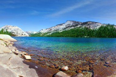 Yosemite Park 'ta, Tioga Yolu' nun kıyısındaki muhteşem Tenaya Gölü. Taş plajlar gölün etrafını sardı. Dağların eteklerindeki yeşil orman gölün etrafını sarar.