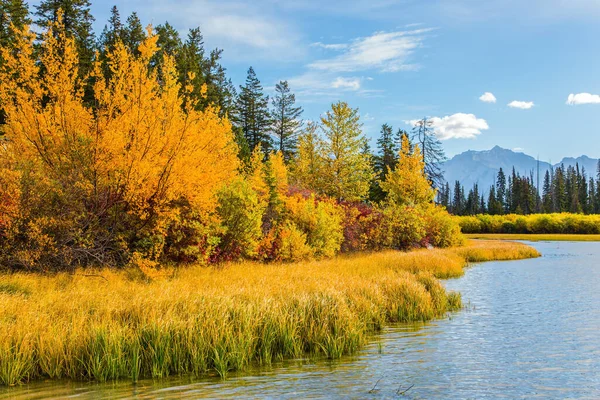 Grandioso Paisaje Las Montañas Rocosas Canadá Lago Vermillon Entre Abetos —  Fotos de Stock