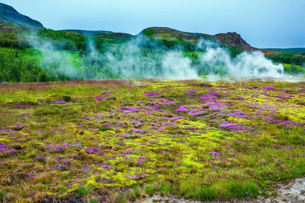 Travel Iceland Volcanic Steaming Hot Field Cloudy Summer Cold Day Stock Picture