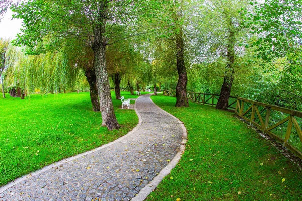 Postojna Grot Enorme Groene Schilderachtige Park Kalksteenplateau Slovenië Reis Naar — Stockfoto