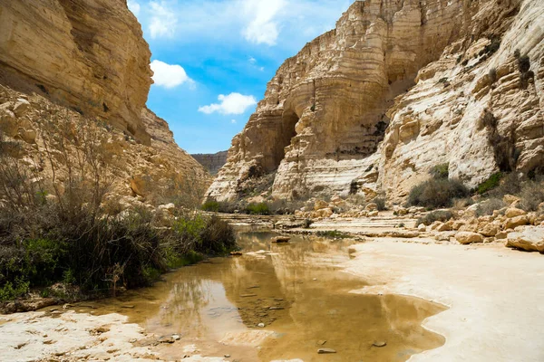 ネゲヴ砂漠の絵のような古代のオアシス 壮大な峡谷Ein Avdat イスラエルだ ルートの始まり 写真観光の概念 壁の中には洞窟や岩がたくさんあります — ストック写真