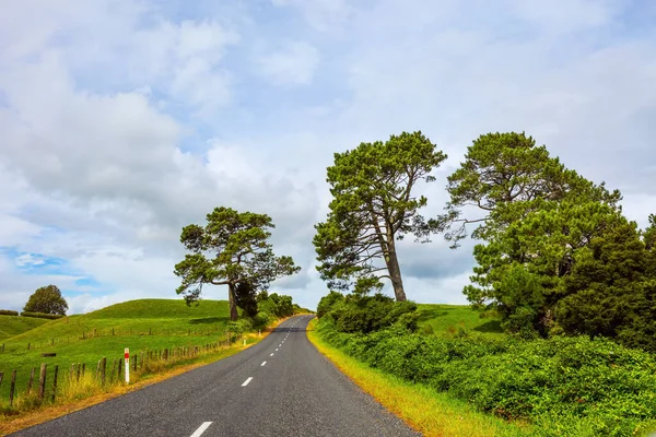 Fabuleux Pays Lointain Chemin Vers Rotorua Route Parmi Les Champs — Photo