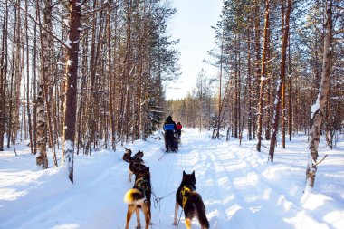 Mersdorf deresi vadisinde resim gibi bir köprü. Almanya 'da asma köprü. Rhineland-Palatinate bölgesi. Rüzgarlı ve soğuk bir sonbahar günü