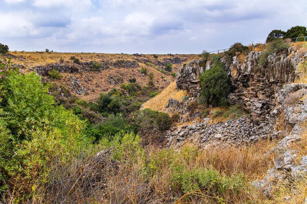 戈兰高地一个干枯瀑布的床 陡峭的山坡上干枯的黄草 以色列 — 图库照片