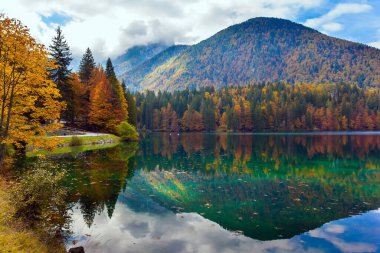 İtalya. Turuncu, sarı ve kırmızı ağaçlar gölün yeşil yumuşak suyuna yansımaktadır. Fuzine Gölü. Heybetli Dolomitler dağ sırası. 
