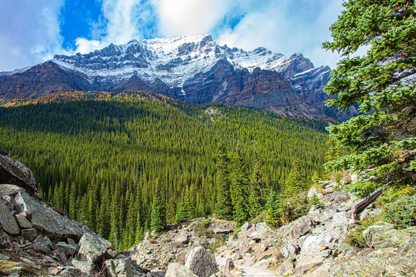 Die Malerischen Kanadischen Rocky Mountains Sind Von Gletschern Bedeckt Umgebung — Stockfoto