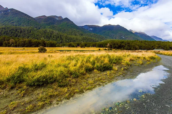 Milford Boğazı Giden Toprak Yol Yeni Zelanda Güney Adası Sarı — Stok fotoğraf