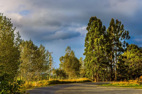 Güney Sahne Yolu Güney Adası Yeni Zelanda Nanılmaz Turuncu Gün — Stok fotoğraf