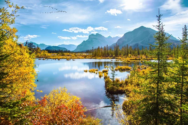 Grandiózní Krajina Skalistých Horách Kanady Jezero Vermillon Mezi Žlutým Podzimním — Stock fotografie