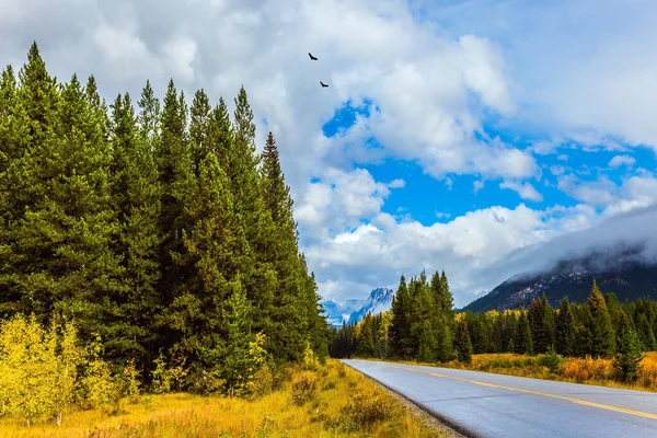 Montagne Rocciose Canadesi Strada Passa Attraverso Bosco Conifere Sempreverde Nubi — Foto Stock