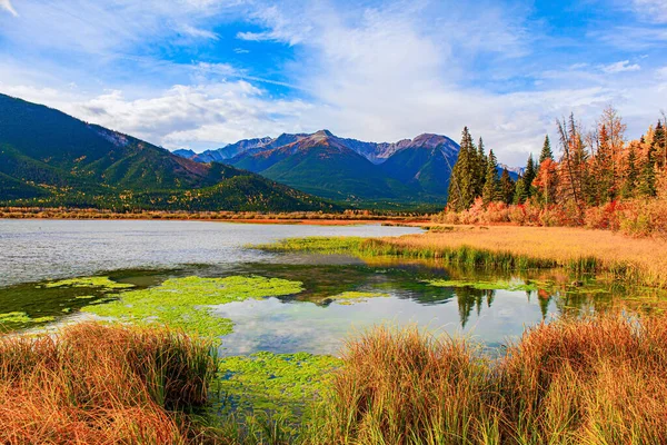 Canadá Verano Indio Las Montañas Rocosas Agua Suave Del Lago —  Fotos de Stock