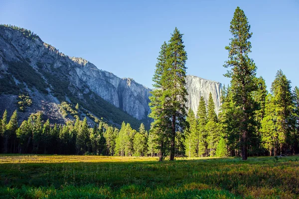 Yellow Autumn Grass Yosemite Valley California Usa Park Located Slopes — Stock Photo, Image