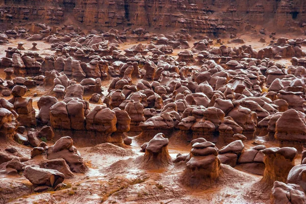 Funny Mushrooms Red Brown Sandstone Scenic Utah State Park Goblin — Stock Photo, Image