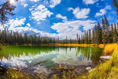 Rocky Dağları. Soğuk yeşil suyu olan küçük bir göl. Kozalaklı orman suya yansıyor. Kanada mı? Jasper Park, Hindistan yazı. Seyahat ve fotoğraf turizmi