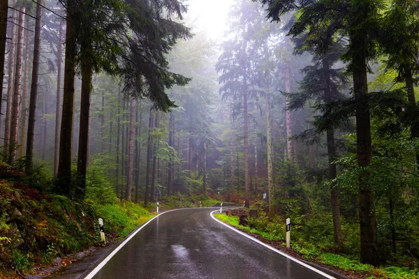 Schwarzwald Octubre Alemania Primera Lluvia Otoño Suave Carretera Brilla Con —  Fotos de Stock