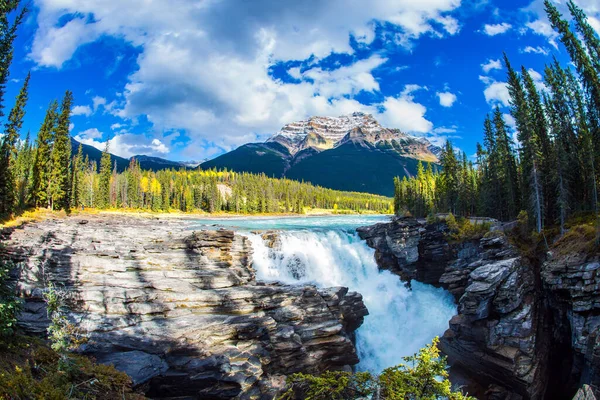 Famous Athabasca Falls Mountain River Waterfall Make Magnificent Landscapes Rocky — Stock Photo, Image