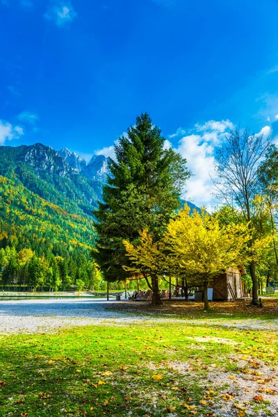前往神奇的斯洛文尼亚 东朱利安阿尔卑斯山 著名的特里格拉夫公园山上长满了茂密的混交林 贾斯纳湖的海岸 — 图库照片