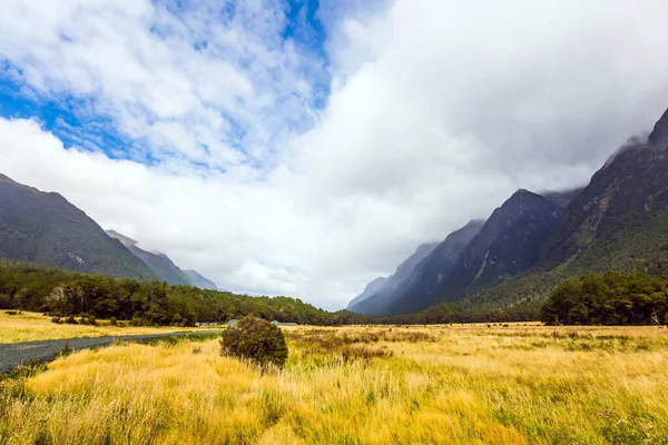 霧と寒い夏の日 黄色い草の畑が霧の中の山に囲まれています ニュージーランドの南の島 南極に近い 極端な観光の概念 — ストック写真