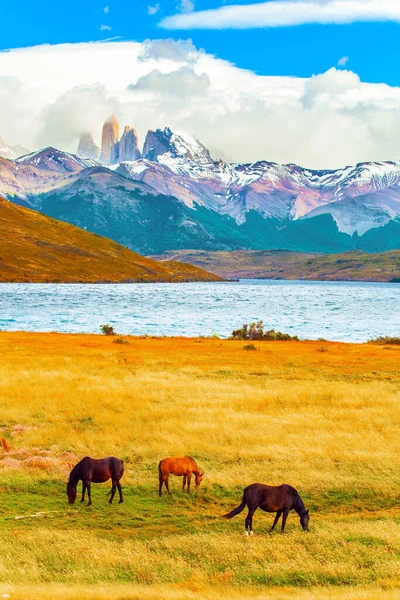 Lagoa Azul Incrível Lago Montanha Perto Três Rochas Torres Cordilheira — Fotografia de Stock