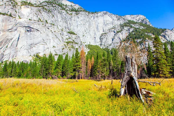 Yosemite Park Hatalmas Festői Park Kaliforniában Usa Ban Sierra Nevada — Stock Fotó