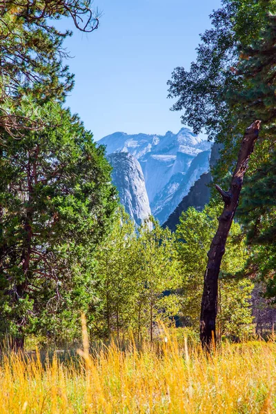 Yosemite Park Located Slopes Sierra Nevada Yosemite Valley Autumn Yellowed — Stock Photo, Image