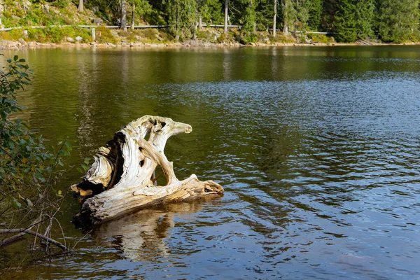 Picturesque Circular Karst Lake Mummelsee Surrounded Dense Evergreen Forest Black — Stock Photo, Image
