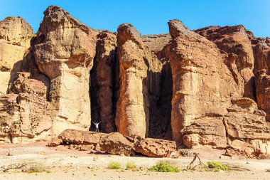 Timna Parkı 'nın Süleyman sütunları. Doğal olarak sert kırmızı kumtaşının aşınmasıyla oluşmuşlar. Muhteşem kumtaşı çok renkli kayalar. Eilat tatil köyü. İsrail. Sıcak Kasım günü.