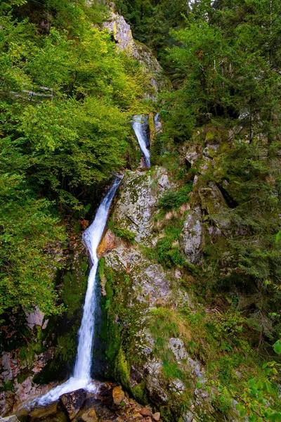 风景如画的高水瀑布式瀑布阿列赫里根 黑森林 秋天阴天 欧洲中部著名的森林 施瓦兹瓦尔德 — 图库照片