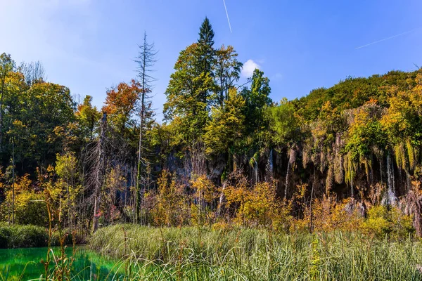 Waterfalls Flow Clay Slopes Overgrown Swamp Sunny Autumn Day Plitvice — Stock Photo, Image