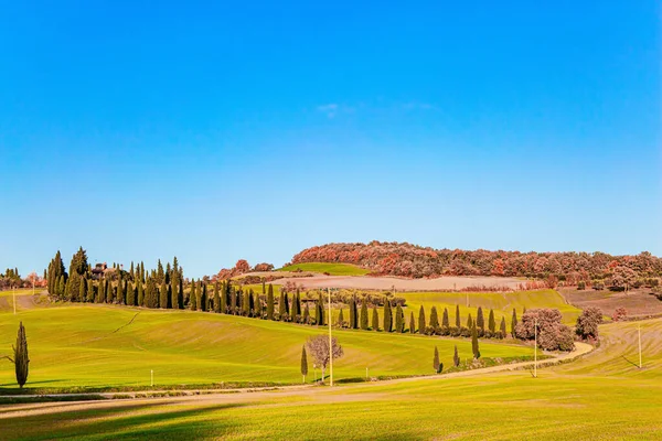 Magnificent Italian Province Tuscany Travel Fabulousl Land Fields Hills Covered — Stock Photo, Image