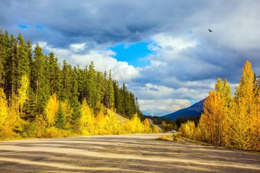 Mavi gökyüzünde yemyeşil kümülüs bulutları birikiyor. Mükemmel yollar Kanada Kayalıkları 'nı geçer. Gün batımı. Sarı ve turuncu yapraklar kuzey sonbaharını süslüyor. Etkin, eko ve fotoğraf turizmi kavramı