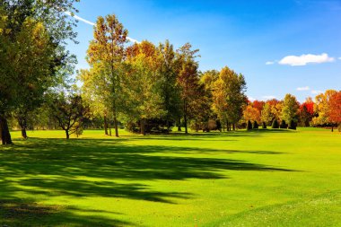 Parlak sonbahar manzarası. Yeşil, sarı, turuncu ve sarı yapraklı ağaçlar. Güneşli bir sonbahar günü. Güneşli bir gün. Kanada mı? Muhteşem yeşil biçilmiş çim. Montreal 'in Mahallesi. 